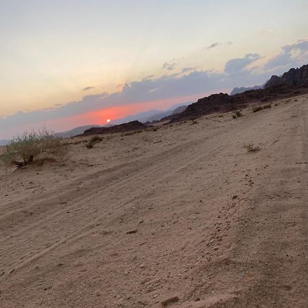Wadirum Zeid Camp&Tours Wadi Rum Exteriör bild