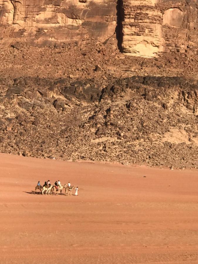 Wadirum Zeid Camp&Tours Wadi Rum Exteriör bild