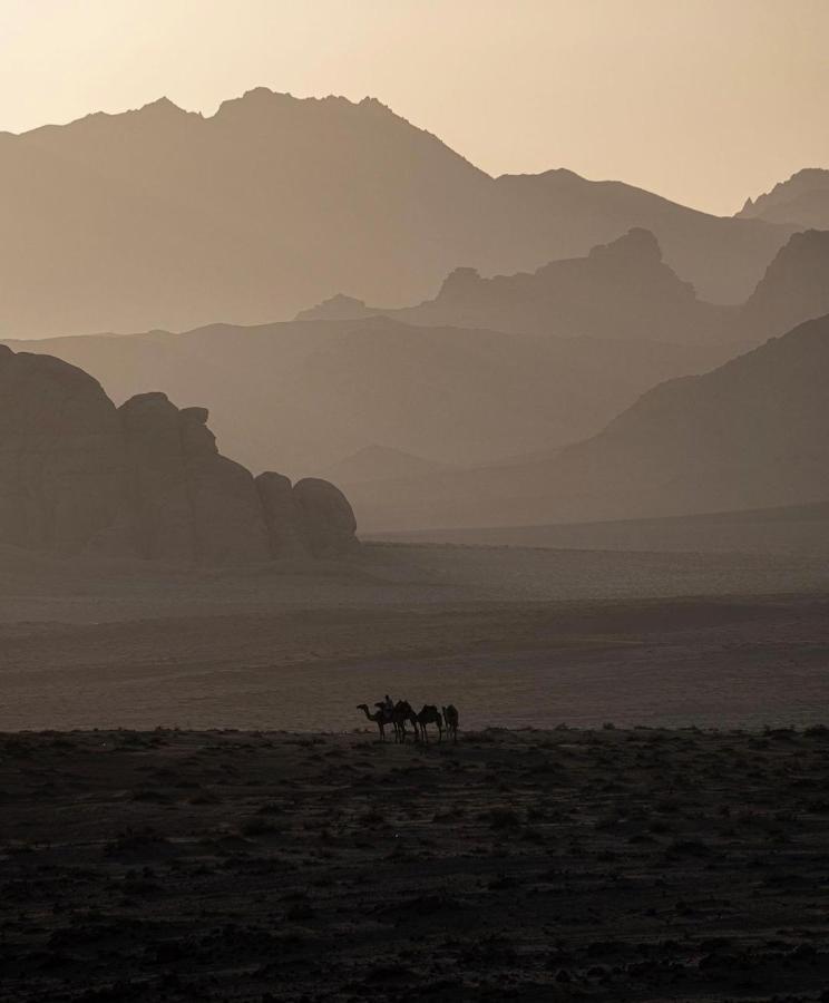 Wadirum Zeid Camp&Tours Wadi Rum Exteriör bild