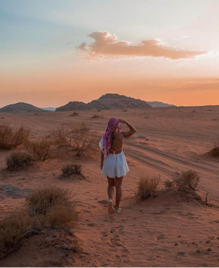 Wadirum Zeid Camp&Tours Wadi Rum Exteriör bild