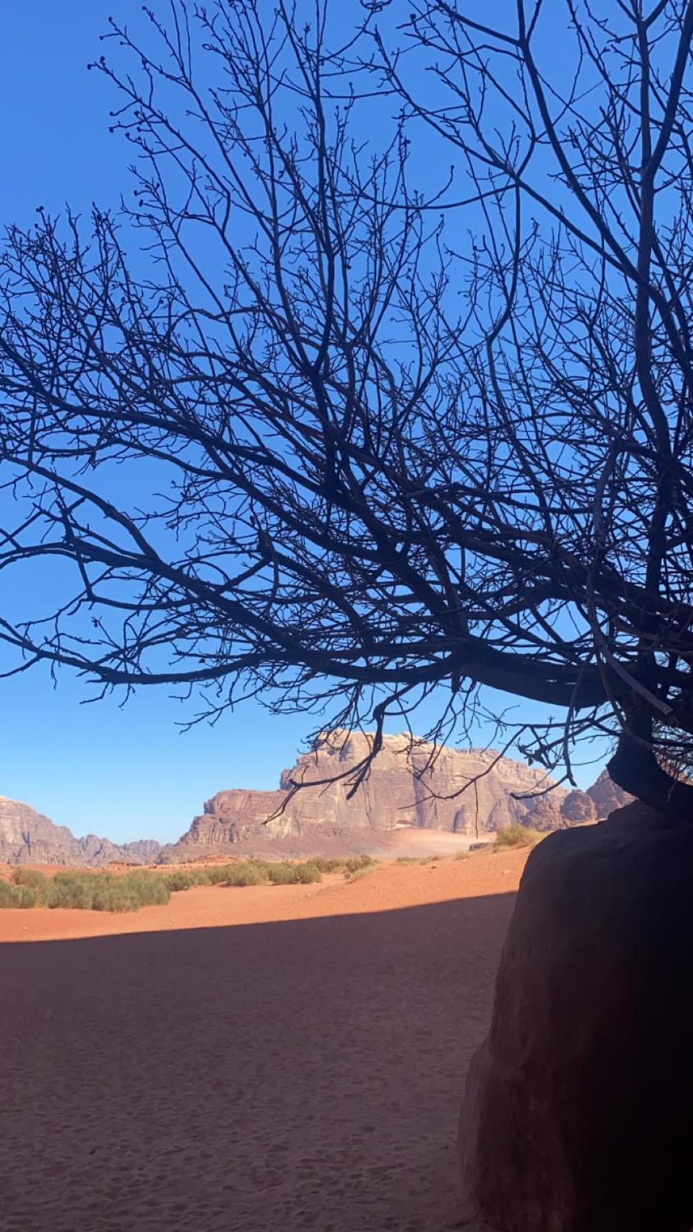 Wadirum Zeid Camp&Tours Wadi Rum Exteriör bild