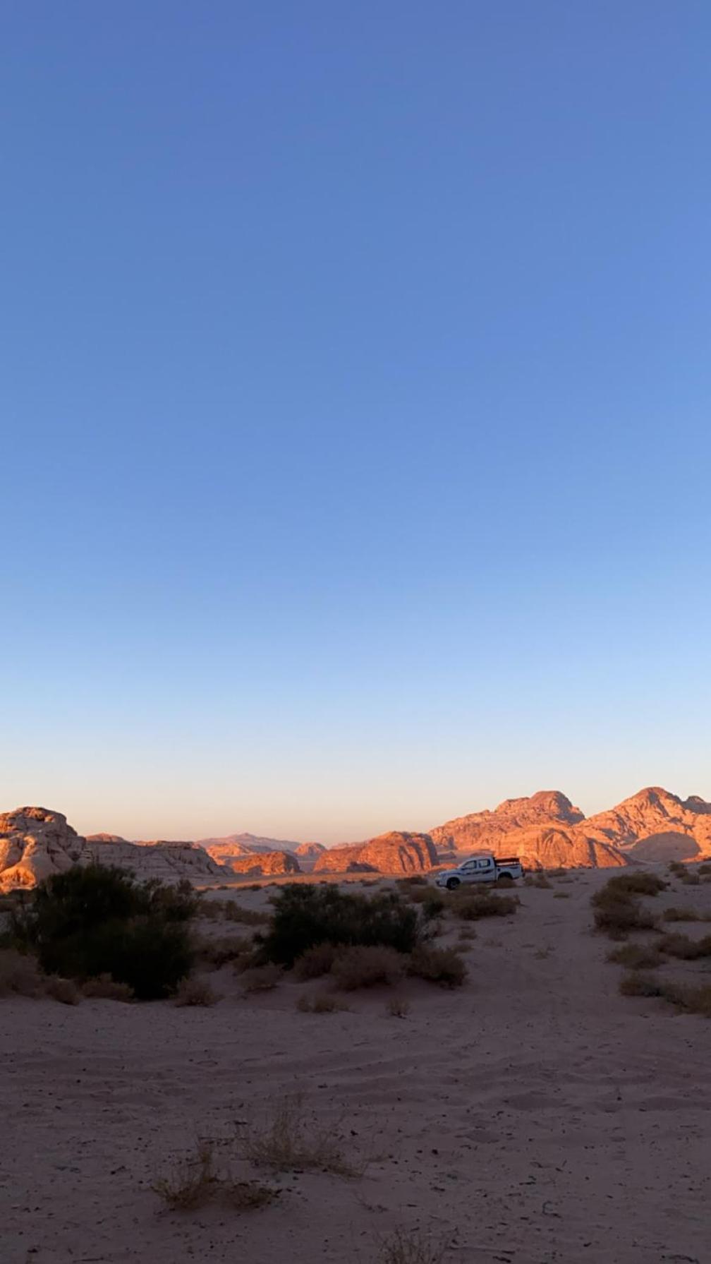 Wadirum Zeid Camp&Tours Wadi Rum Exteriör bild