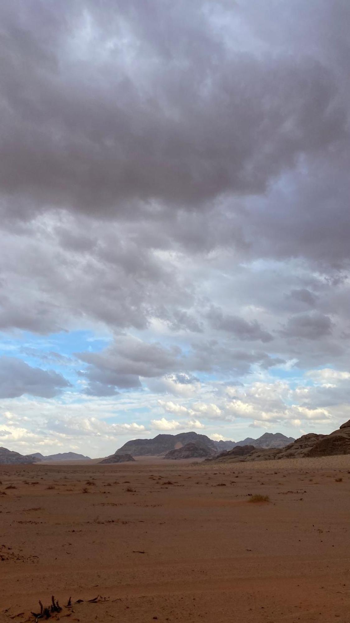 Wadirum Zeid Camp&Tours Wadi Rum Exteriör bild
